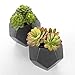 MyGift Set of 2 Realistic Artificial Succulent Plants in Matte Black Modern Geometric Ceramic Pots