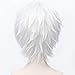 Flovex Short Straight Anime Cosplay Wigs Natural Sexy Costume Party Daily Hair (Silver White)