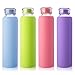 MIU COLOR Glass Water Bottles, for Beverage, Drinking, Borosilicate Glass Juice Bottle, Milk Container, to Go Sports, 16 oz, BPA Free…
