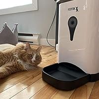 black dog collar and lead