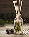 Urban Naturals Pine Forest Reed Diffuser Oil with Bamboo Reed Sticks | Pine Needles, Eucalyptus, Juniper Berries & Balsam Fir | Christmas Tree Scent | Holiday Decor with Real Frasier Fir Branches