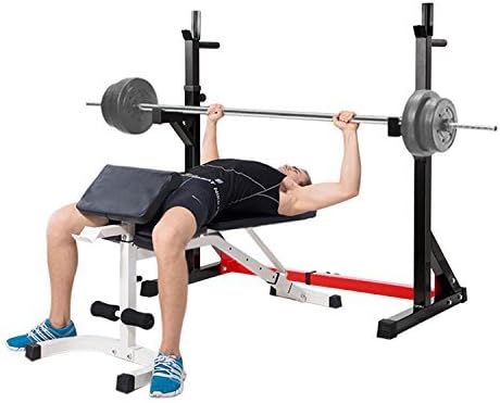 Ollieroo Multi-Function Barbell Rack Dip Stand Gym Family Fitness Adjustable Squat Rack Weight Lifting Bench Press Dipping Station