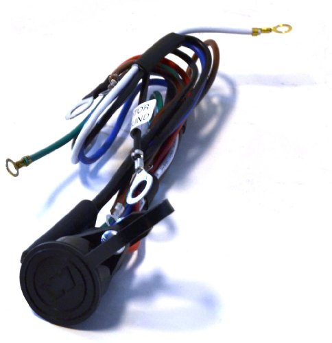 WARN 64639 Socket Plug Assembly