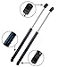Vepagoo 2 Front Hood Struts Lift Supports PM1059 Gas Shock Compatible for 2003-2008 Infiniti FX35 FX45 Base Sport Utility