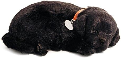 Perfect Petzzz Black Lab Breathing Puppy in Dog Bed by 88 Unlimited