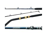 Daiwa SA-B66HF-DD Saltiga Dendoh Style Deep Drop Rod, 6'6