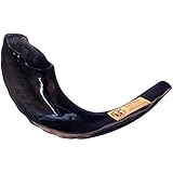 15 Inch Kosher Black Rams Horn Polished Shofar by Peer Hastam