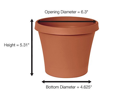 Bloem Fiskars 6 Inch TerraPot Planter, Color Clay