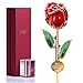 Icreer 24k Gold Dipped Real Rose with Crystal Stand,Present for Mother's Day/Anniversary/Birthday/Wedding and Proposal | Gifts for Her/Mom/Wife/Girlfriend