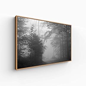 Canvas Wall Art for Living Room, Bedroom Monochrome Plants Framed Canvas Prints for Home Decoration Ready to Hang - 16x24 inches