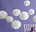 Martha Stewart Crafts Pom Poms, White, Medium