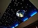 CHINLY 32W RGB 4-Speed Twinkle LED Fiber Optic Star Ceiling Kit Light Lamp 800 Strands 13.1ft Long 0.75mm +28key RF Remote