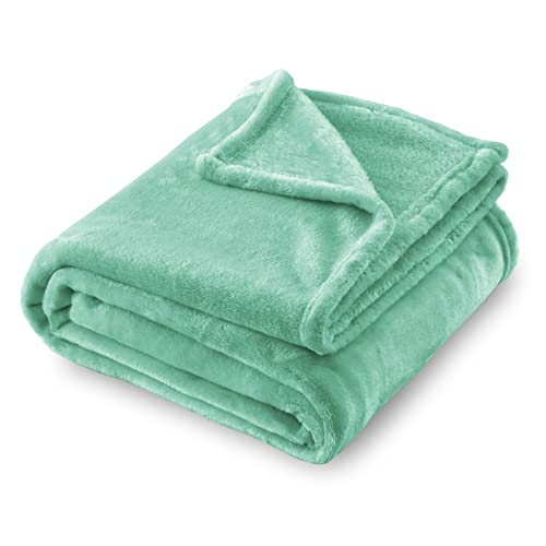 SOCHOW Flannel Fleece Blanket Throw Size, All Season Lightweight Super Soft Cozy Blanket for Bed or Couch, Celadon, 50x60 inches