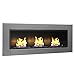 Regal Flame Devant Ventless Bio Ethanol Wall Mounted Fireplace