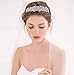 EVER FAITH Women's Austrian Crystal Wedding Flower Cluster Hair Band Clear Silver-Tone