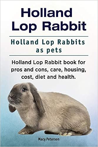 Holland Lop Rabbit Holland Lop Rabbits As Pets Holland Lop Rabbit Book For Pros And Cons Care Housing Cost Diet And Health Amazon Co Uk Peterson Macy 9781910861912 Books