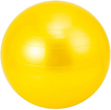 Amazon バランスボール ヨガボール フィットネスボール Pvc 50 60 70 80 90cm多色選択 スポーツ フィットネス レジャー ゲームが適用されます 新進電気 バランスボール