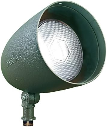 Dabmar Lighting DPR38-G Par 38 Spot Light, Green Finish