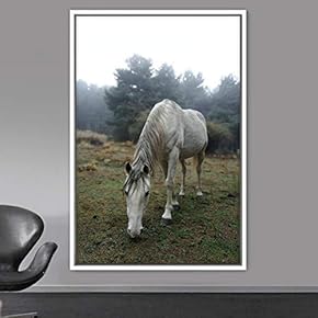 signwin Framed Canvas Wall Art Horse Animals Dramatic...