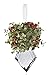 Kissing Krystals Acrylic Mistletoe Hanging Ornament- Assorted Shapes for Christmas
