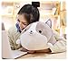 Corgi Soft Plush Throw Pillow Lifelike Animal Pillows Plush Toy