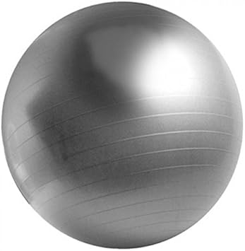 Balón de ejercicio 65cm Gris Pilates Yoga Swiss Ball Pelota de ...