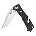 SOG Specialty Knives & Tools TF22-CP Trident Mini Knife with Straight Edge Assisted Folding 3.15-Inch AUS-8 Steel Blade and GRN Handle, Satin Finish