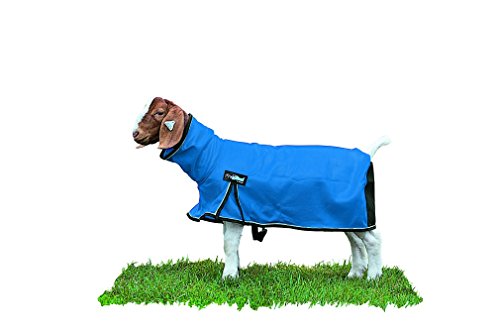 Weaver Livestock ProCool Mesh Blanket
