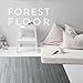 Forest Floor 3/8