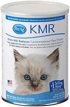 Cat Milk Kitten Milk Pet Milk Petag Kmr Instant Powder Kitten 340 Gram With Free 2 Oz Nursing Kit Buy Online At Best Price In Uae Amazon Ae
