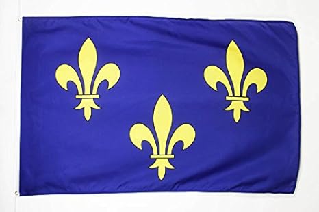 Fleur De Lis Multi Blue And Gold Flag 3 X 5 French Royal France Flags 90 X 150 Cm Banner 3x5 Ft Drapeau Fleur De Lys Bleu Et Or 2 Az Flag