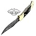 Buffalo Horn 5.5'' Custom Handmade Damascus Steel Double Brass Bloster with Sharpening Rod Folding Pocket Knife Back Lock 100% Prime Quality Come with Leather Sheath