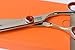 Professional Hair Scissors/Shears 5.5