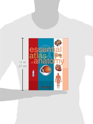 Essential Atlas of Anatomy (Essential Atlas Series) - //coolthings.us