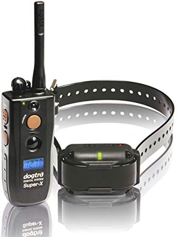 make a dog vomit safely