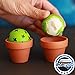 SportzGo Beer Pong Plastic Balls Bulk - 144 Pack of Washable Balls for Beer Olympics Drinking Games Table Tenis Carnival Beer Pool Games White Color Ball 38 mm Party Decorations Indoor & Outdoor