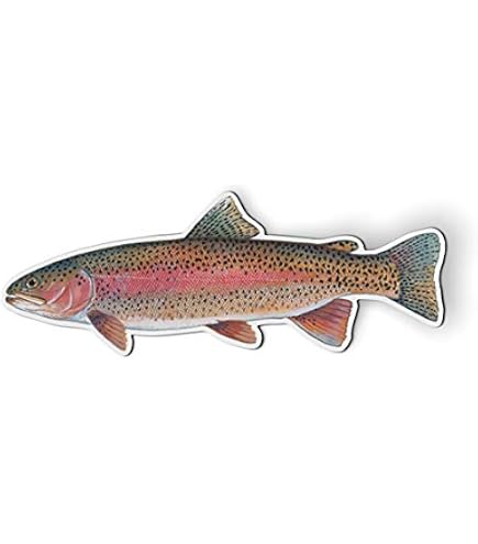 Largemouth Bass Fishing Fish Magnet for Car, Fridge, Locker, 3 in