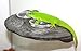 Magnaturals Gecko Ledge Granite - Magnetic Decor
