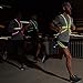 noxgear Tracer2 Visibility Vest (XL)