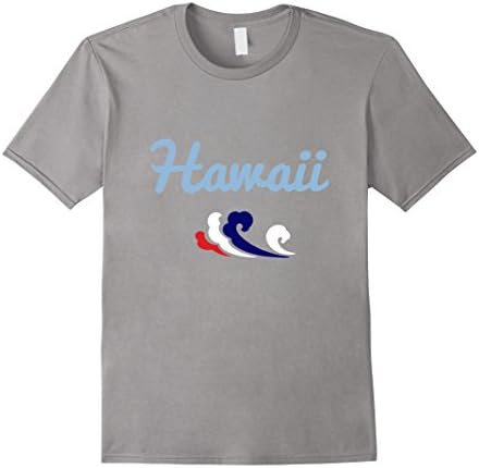 Men's Hawaii Pride and Patriotism T-shirt Large Slate