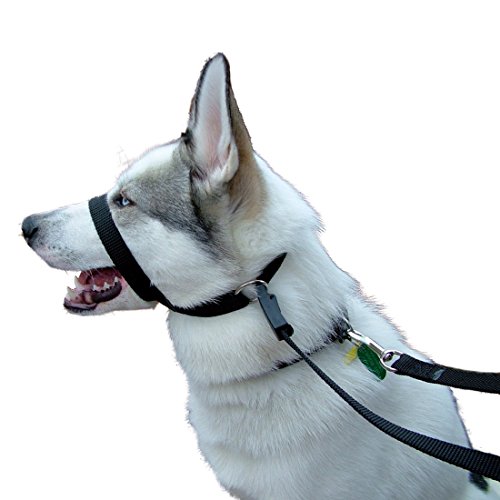 kumfi head collar
