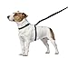 ThunderLeash No-Pull Dog Leash (Small (12 to 25 lbs), Black)