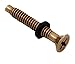 3) NEW Pentair 79104800 Pool Light Replacement Brass Pilot Screws w/Gum Washers