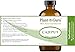Cajeput Essential Oil 4 oz 100% Pure Undiluted Therapeutic Grade.