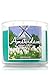 Bath & Body Works Candle 3 Wick 14.5 Ounce 2016 Edition Amsterdam Spring Tulips