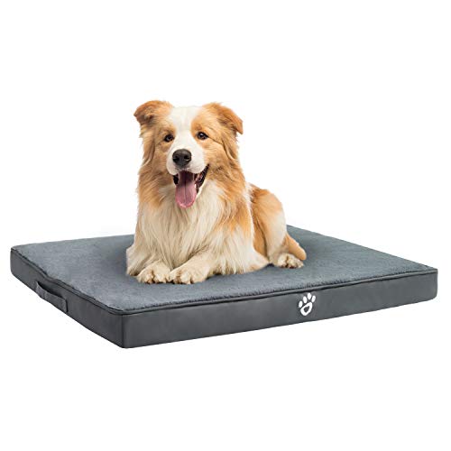 42x27 dog bed