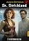 Livro Senhor Strickland 17: E o retorno do rei (Mr. Strickland (port))