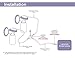 Maymom Tubing Compatible with Lansinoh Breastpump Not Original Lansinoh Pump Parts Replace Lansinoh Tubing. Work with Lansinoh Signature Pro,Lansinoh Smartpump