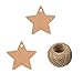 Christmas Star Gift Tags with String Kraft Paper Blank Gift Wrap Tags 100 Pcs Wedding Crafts Tags with 66 Feet Jute Twine