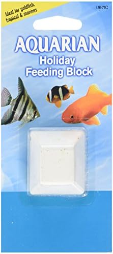 tropical fish feeding blocks